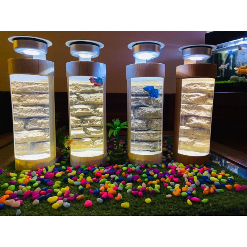 Aquarium mini||Aquarium cupang||Aquarium hias||Hiasan rumah