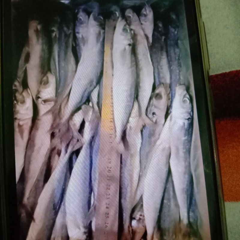 

Ikan asin