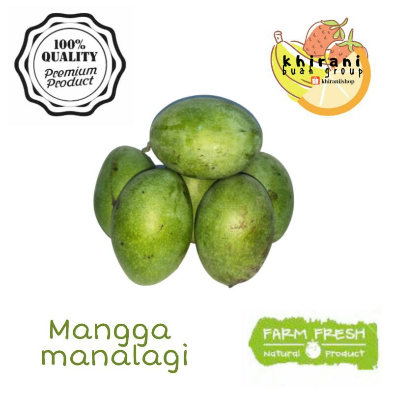 

Mangga Manalagi