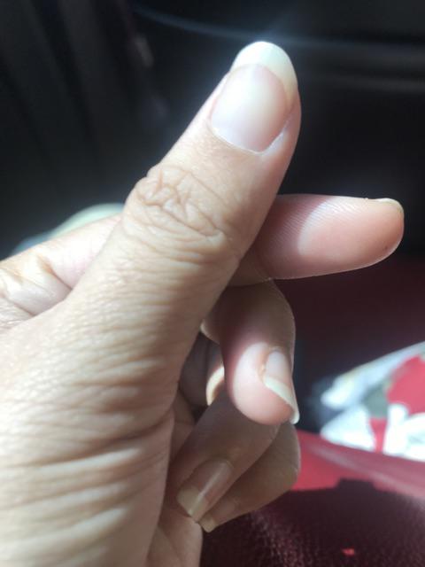 Lem Lalat Stick - Cap Gajah Fly Catche Stick 12 Pcs