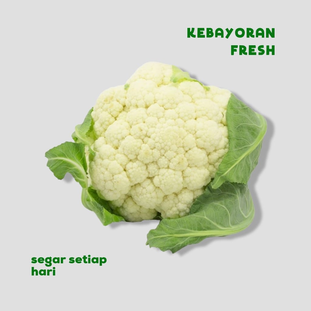 

Bungga Koll (per PCS) - Kebayoran Fresh