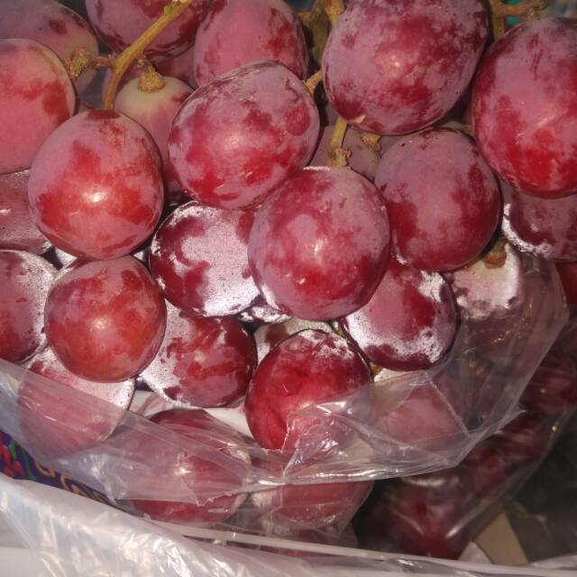 

ANGGUR MERAH JUMBO