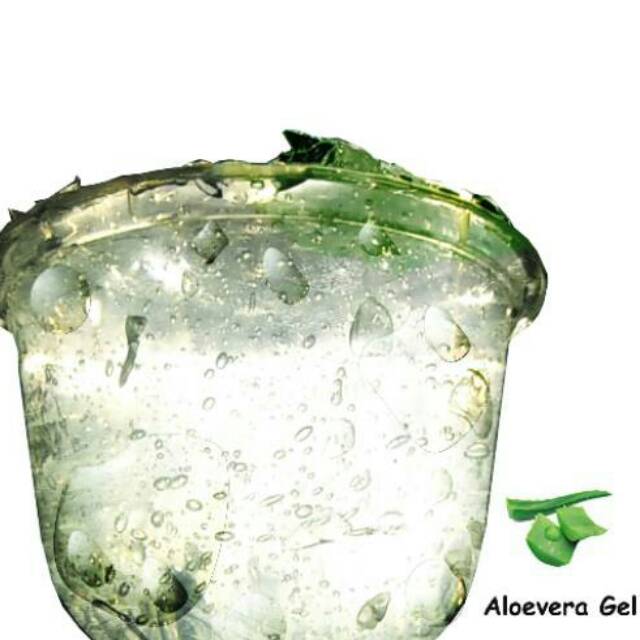 aloe vera gel buat hand sanitizer lebih kental dan bening(OC)