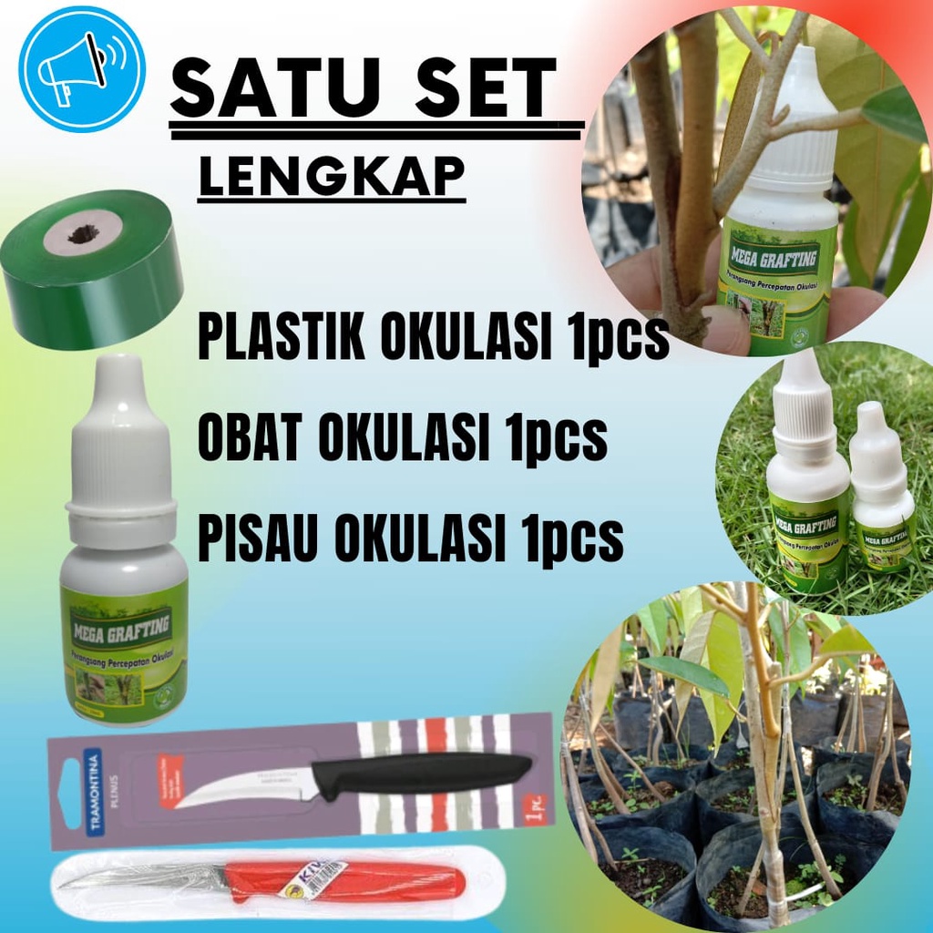 Paket Lengkap Untuk Okulasi (Obat okulasi, pisau okulasi, plastik okulasi)