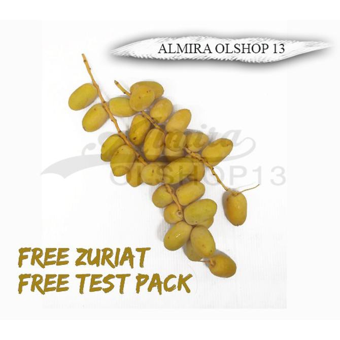 

PROMO Kurma Muda Segar 500 gr Promil