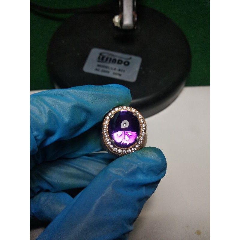 Bungur tanjung bintang (Amethyst)