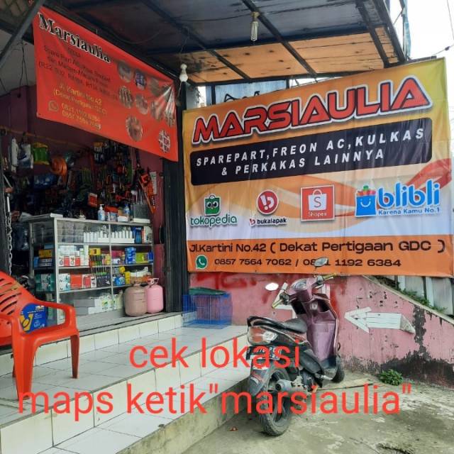 marsiaulia