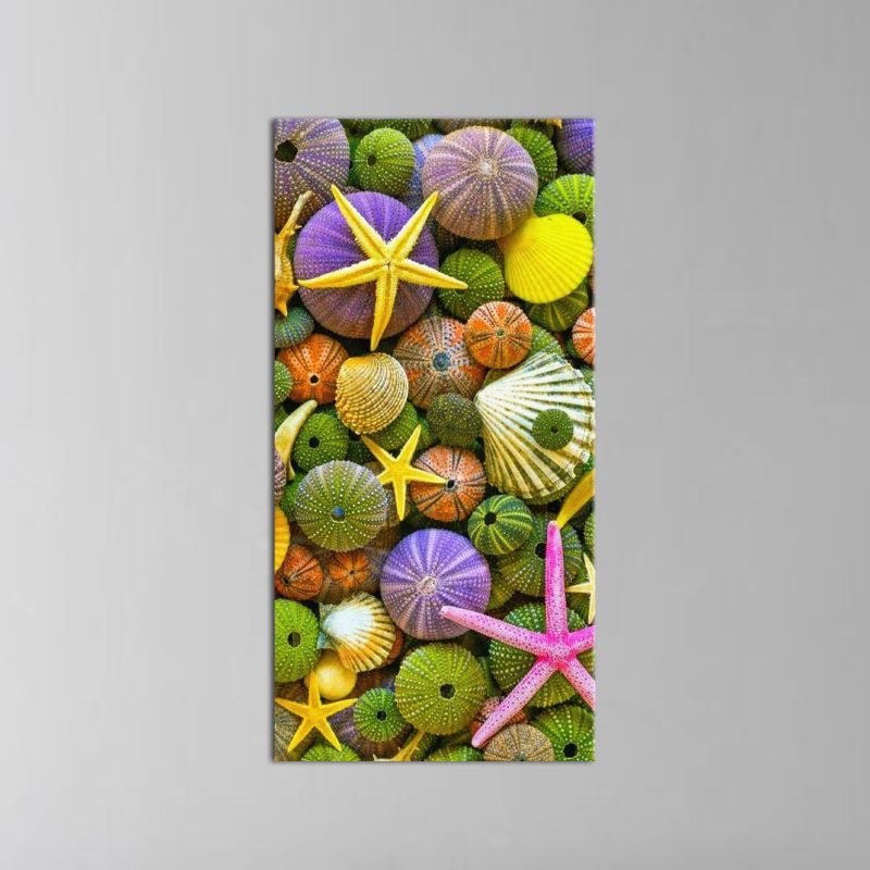 Hiasan Dinding Bintang Laut