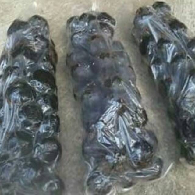 

PROPOLIS MENTAH MURNI 100% 1 KG LEBAH TRIGONA / KLANCENG