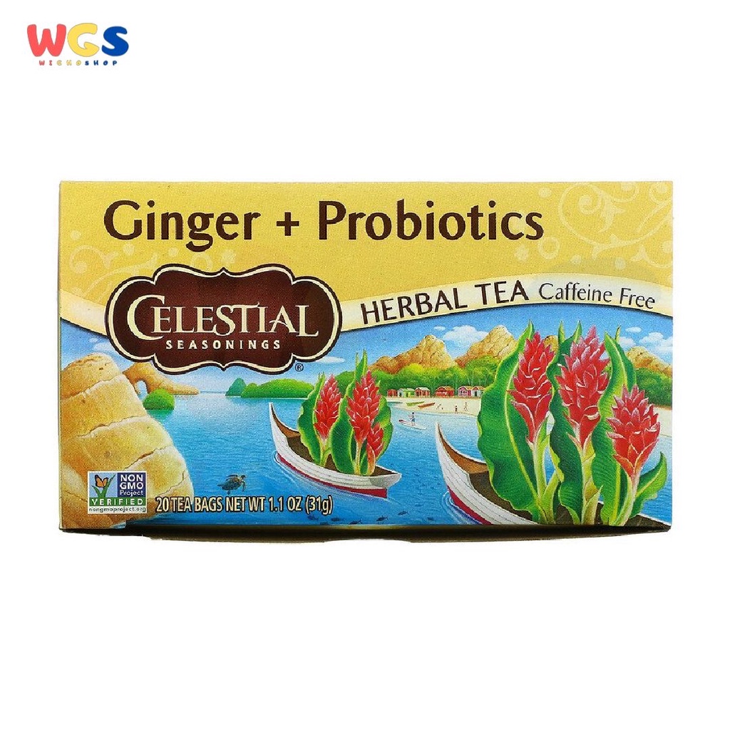 Celestial Seasonings Ginger &amp; Probiotics Herbal Tea 20s x 1.55g