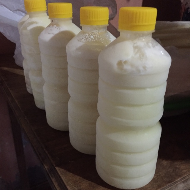 

Susu Kambing