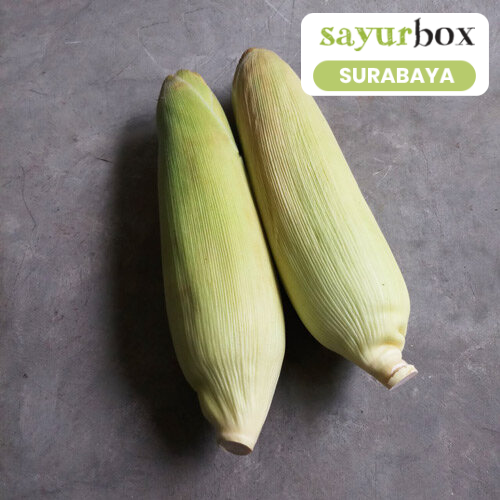 

Jagung Manis Kulit Conventional 1 kg (Sayurbox) - SURABAYA