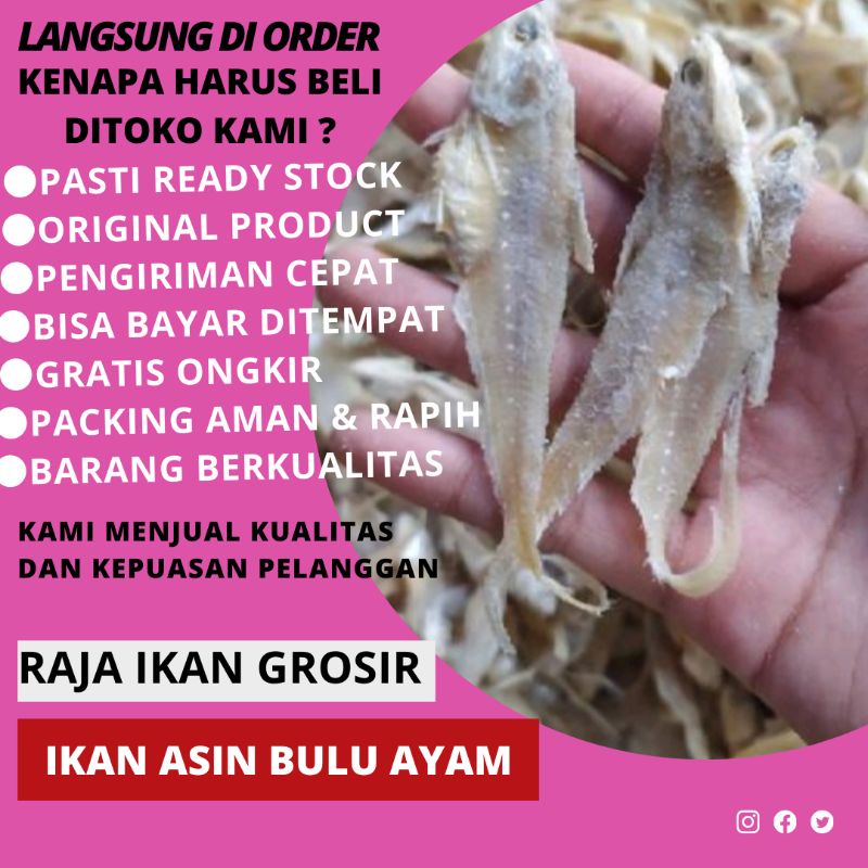 

BULU AYAM ASIN 1 KILO BERKUALITAS