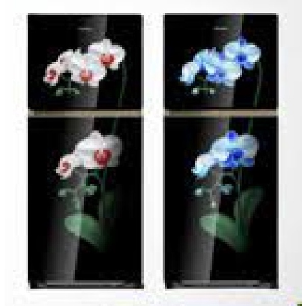 KULKAS 2 PINTU POLYTRON PRW 23 / PRW23 MOW