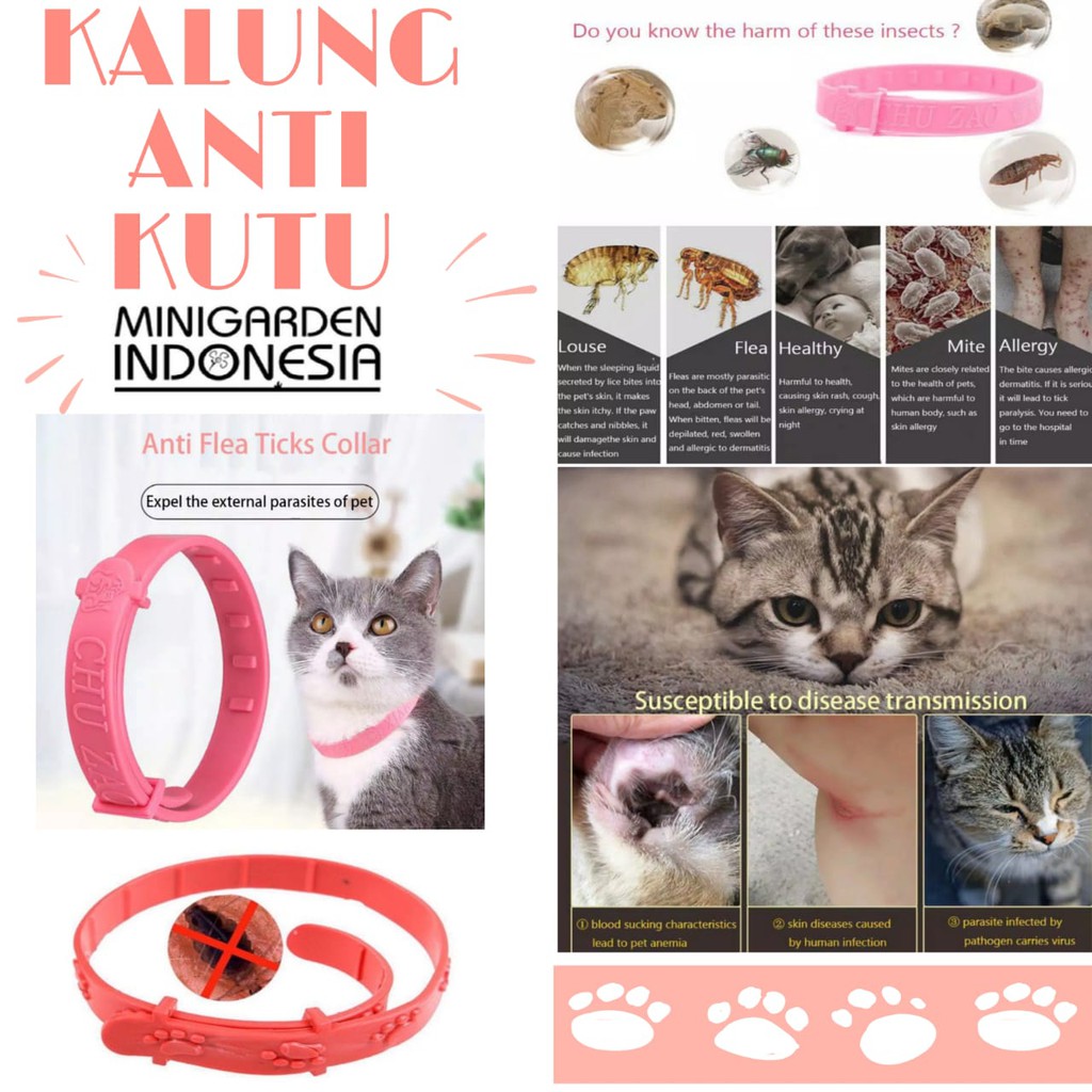 KALUNG KUCING ANTI KUTU DAN ANTI NYAMUK natural pest control pet collar anjing musang kelinci