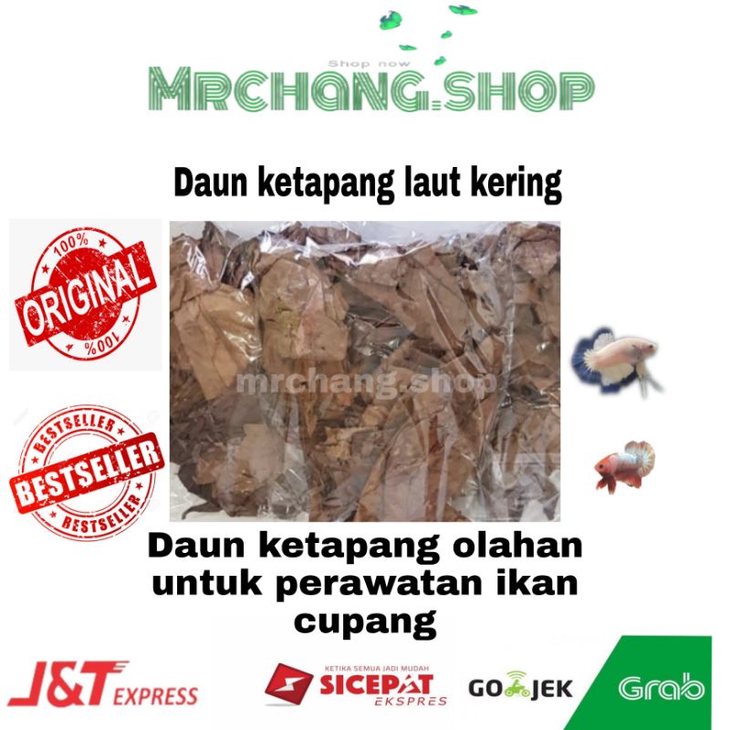 daun ketapang laut olahan  ketapang laut kering