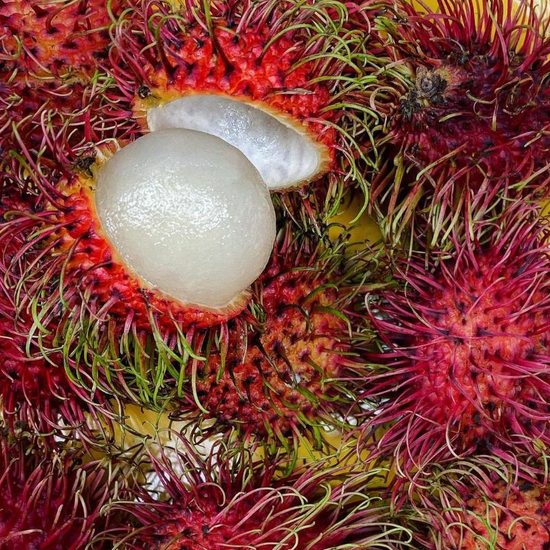 

BUAH RAMBUTAN PER IKAT