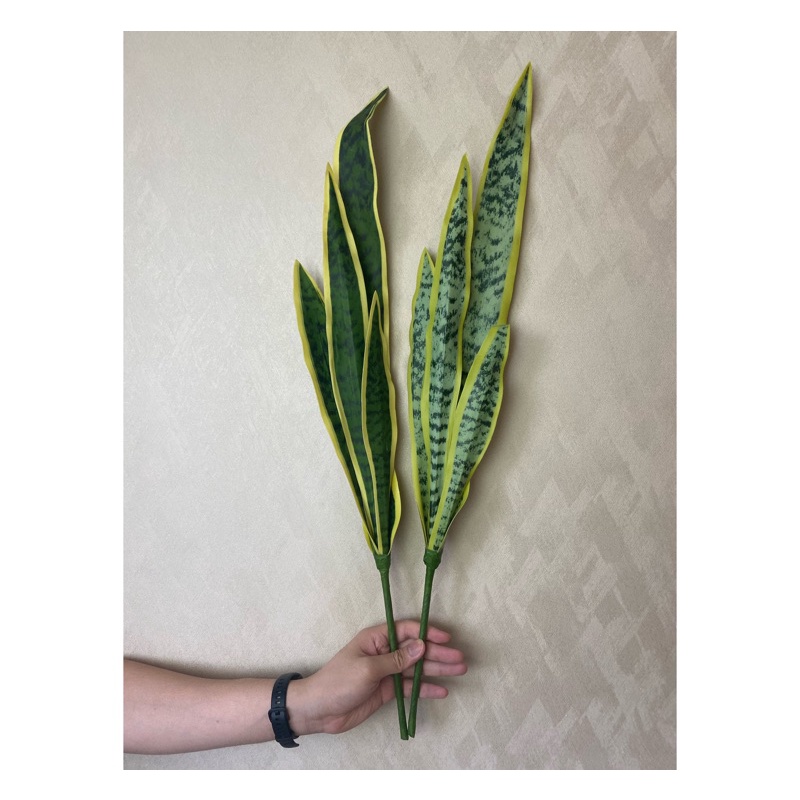 Daun Lidah mertua artificial plastik import