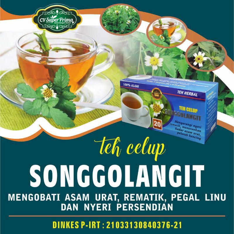 

TEH HERBAL SONGGOLANGIT ORIGINAL ATASI NYERI SENDI ASAM URAT. REMATIK