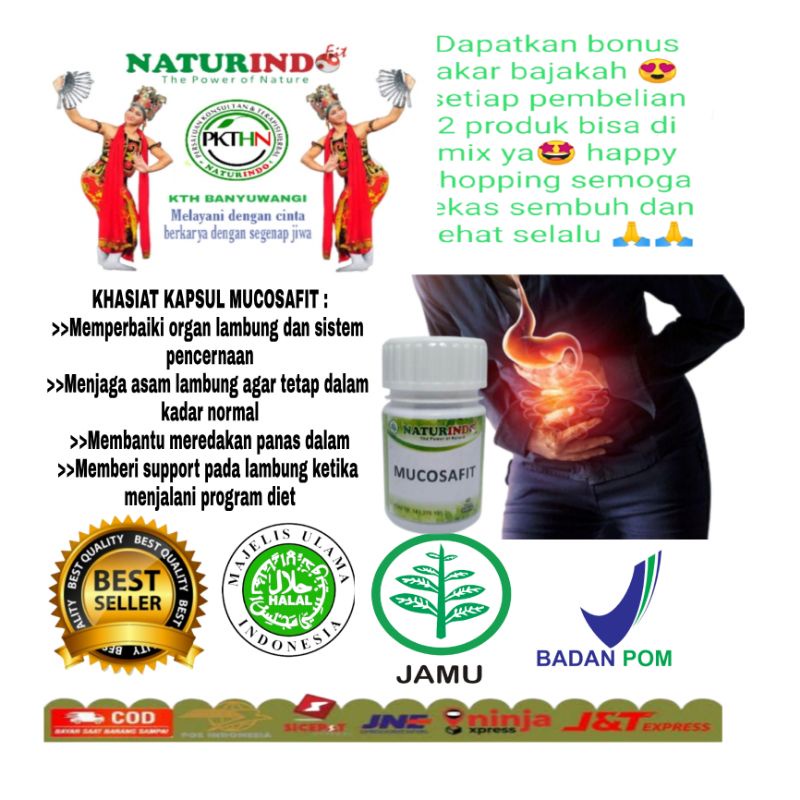 obat sakit lambung obat lambung luka obat usus buntu obat infeksi lambung obat maag obat  cemas