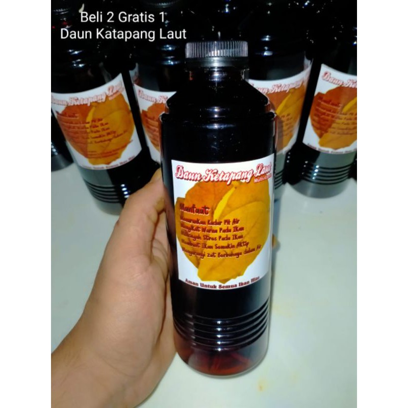 

Daun Katapang 500ml (Beli 2 Gratis 1 bungkus katapang Kering)