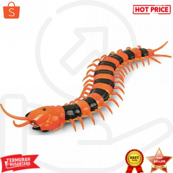 Jiahuifeng Mainan Prank Lipan Kelabang Dengan Remote Control RC - 9901