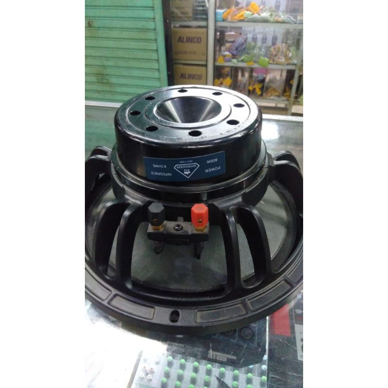 speaker soundqueen 10 inch neodium