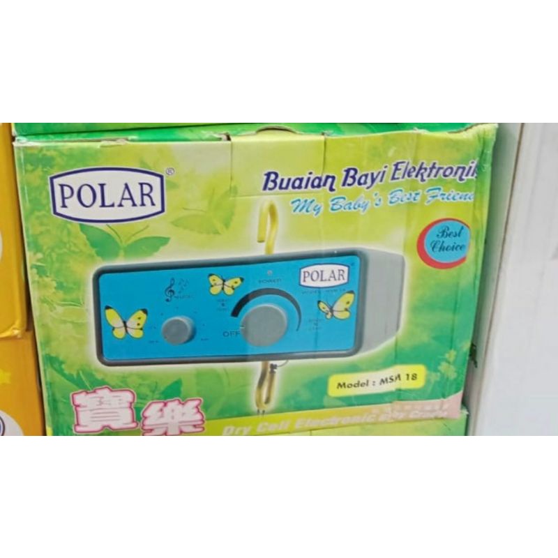 Ayunan elektrik polar