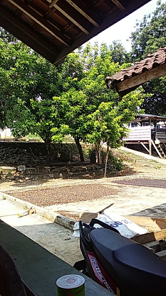 Bantal Full/guling Full/bantal/guling/bantal Kepala/guling Panjang/busa Inoac/bantal Inoac/inoac