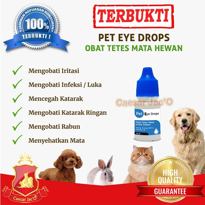 Obat Tetes Mata Luka Katarak Anjing Kucing Kelinci Hewan Alami Indonesia