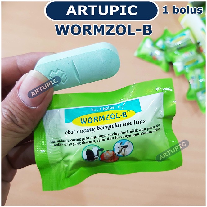 Wormzol Bolus 1 SACHET isi 1 Bolus Obat Cacing Cacingan Pita Sapi Kerbau Kuda Hewan Albendazole