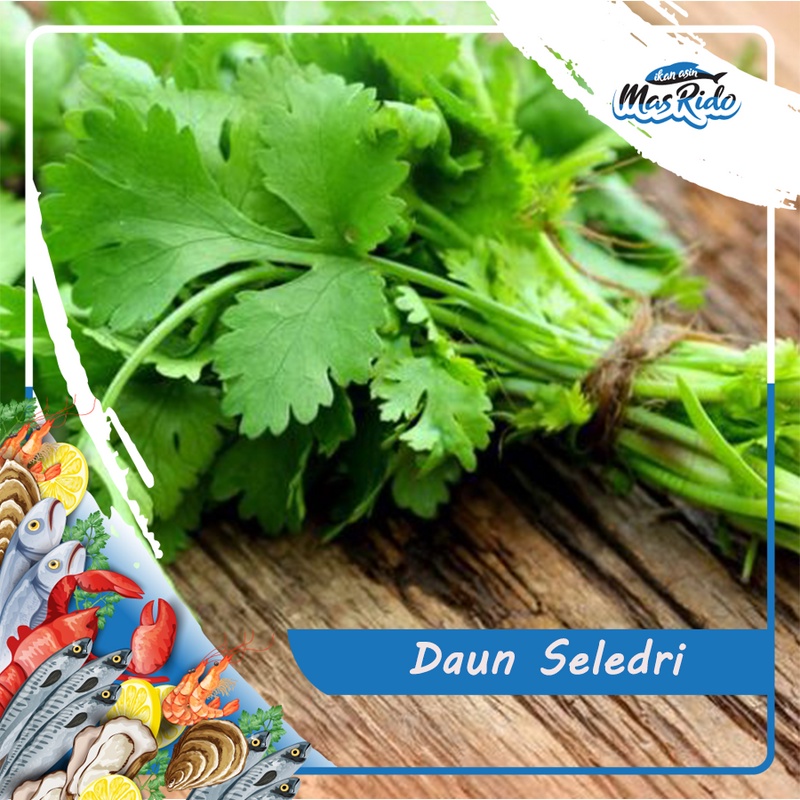 

Daun Seledri Sayur Segar 1 Ikat Kwalitas Premium Harga Murah