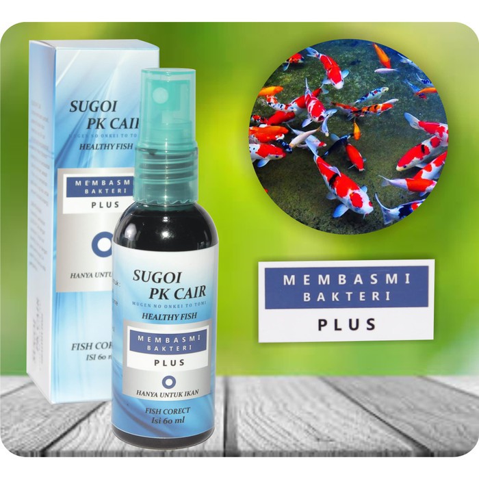 PK CAIR SUGOI OBAT JAMUR PADA IKAN