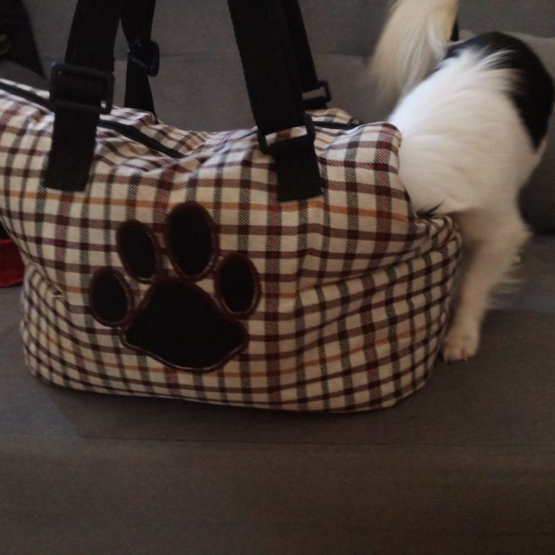 tas jinjing kucing atau anjing