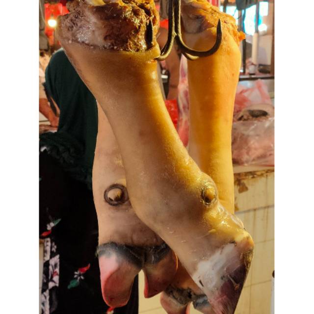

Kaki Sapi