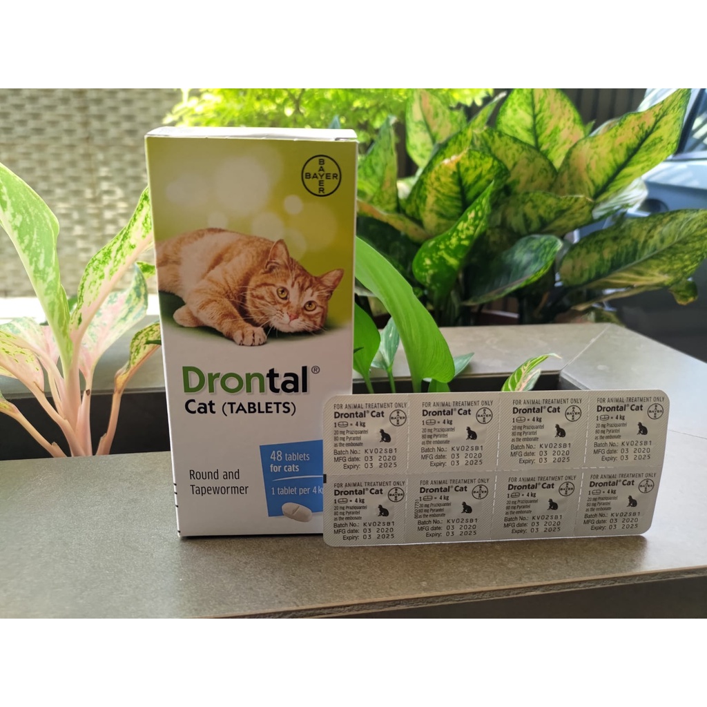 DRONTAL Obat Cacung Kucing 1 Tablet