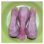 

kepala bebek 500 gram