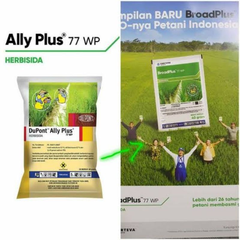 Ally plus / broadplus