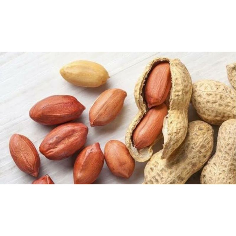 

Kacang Tanah Kering