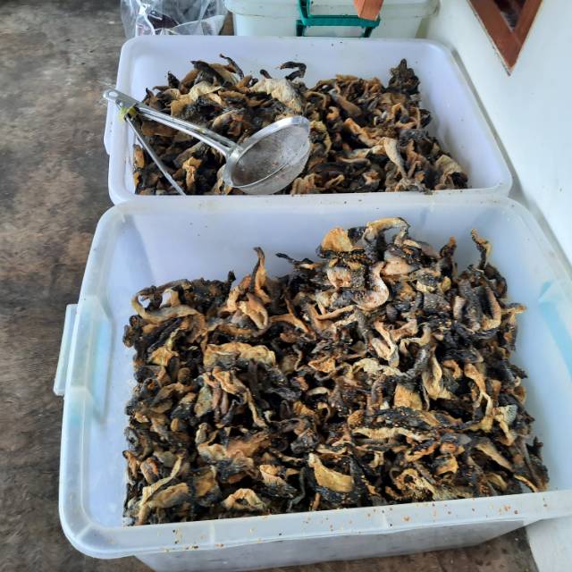 

KERUPUK KULIT IKAN FISH SKIN MURAH TINGGAL GORENG 1 KG