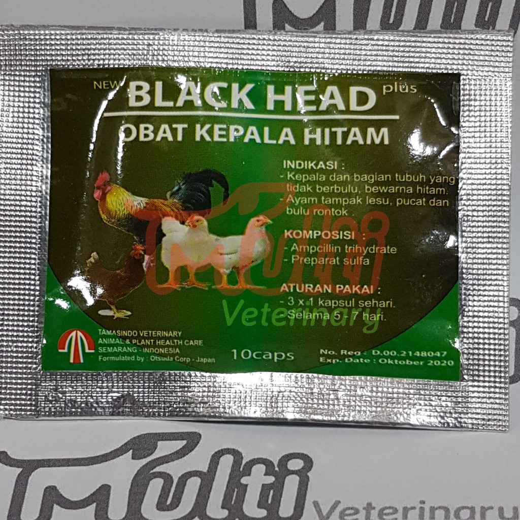 

BLACK HEAD plus 10 caps Obat Antibiotik Kepala Hitam Ayam