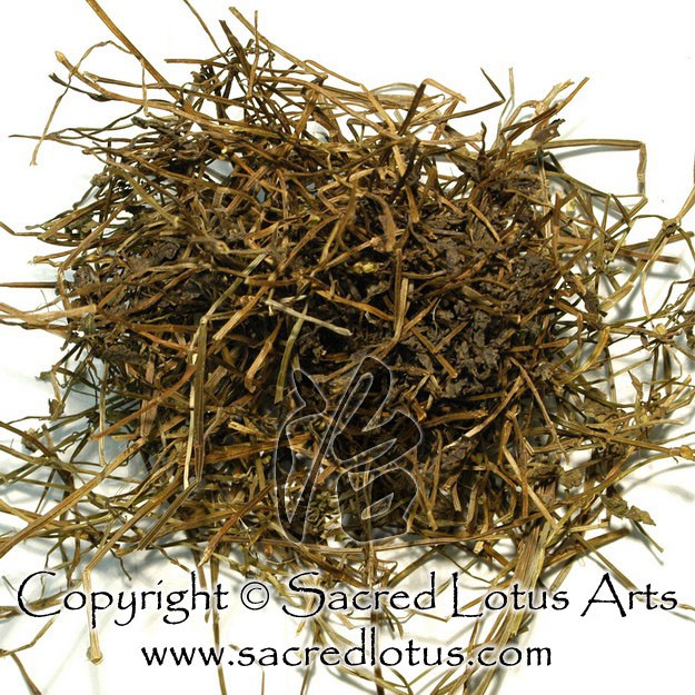 

600 G GR GRAM BAN ZHI LIAN BARBATED SKULLCUP HERB HERBA SCUTELLARIAE