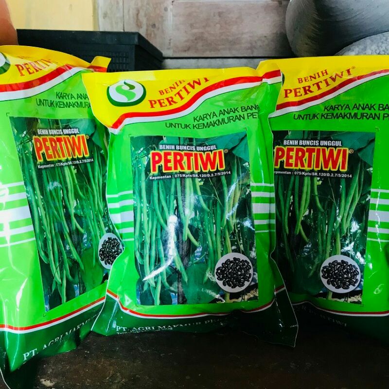 Benih Buncis pertiwi / Bibit Buncis Pertiwi 500g / benih buncis unggul/Rasa agak manis