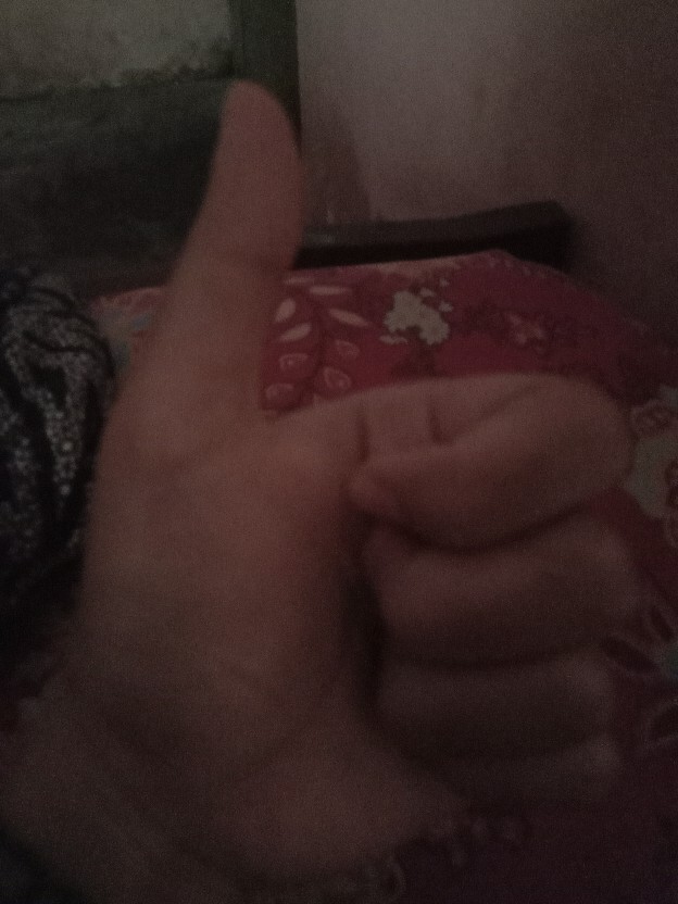 Silicone Basting Brush High Heat Reistant Pastry Brush Translucent Reusable Barbecue Utensil