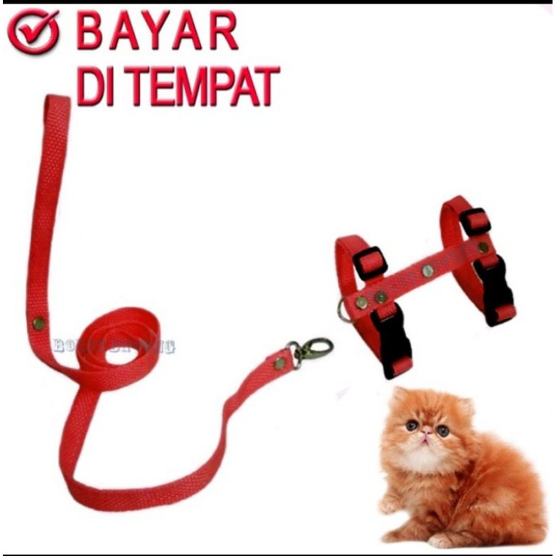 HERNES H Kucing Musang Oter Puppy Monyet Tali Tutun Pengikat Hewan