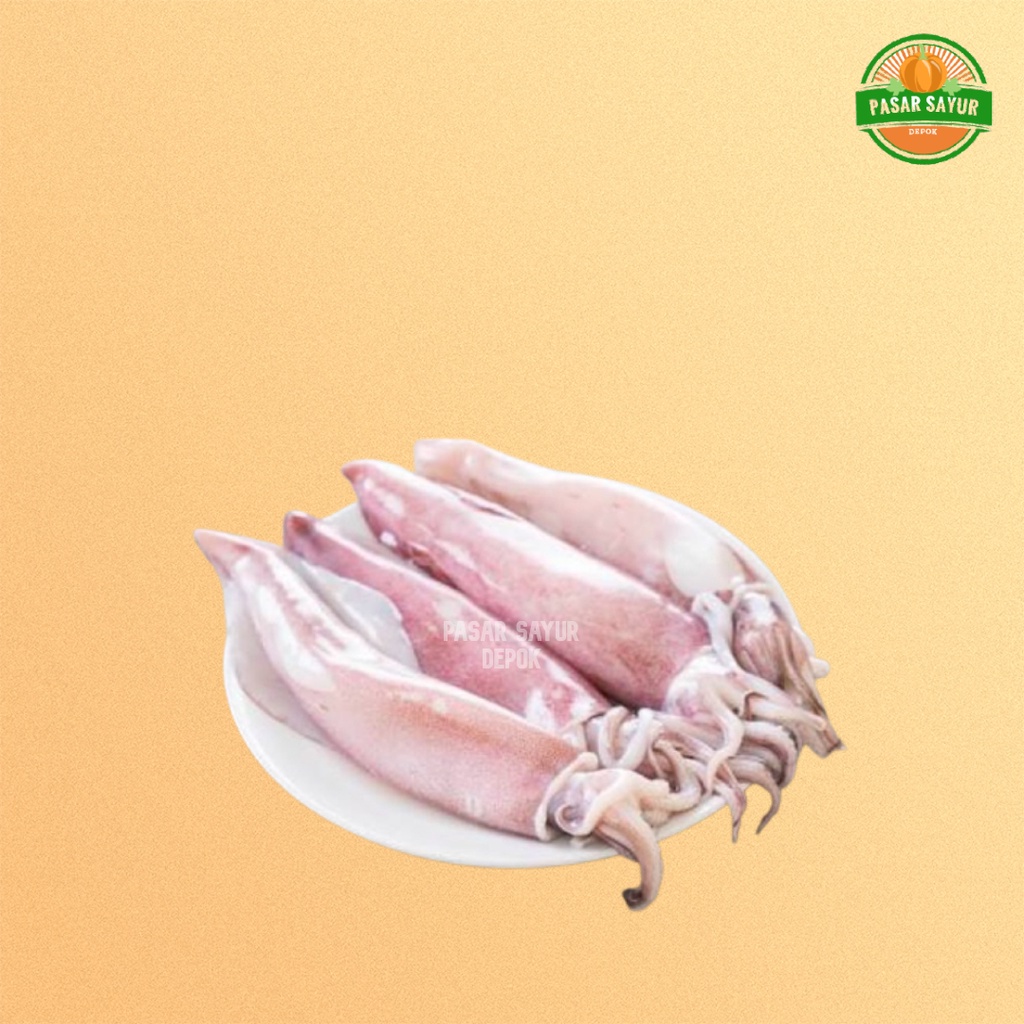 

Cumi basah segar 250 gram