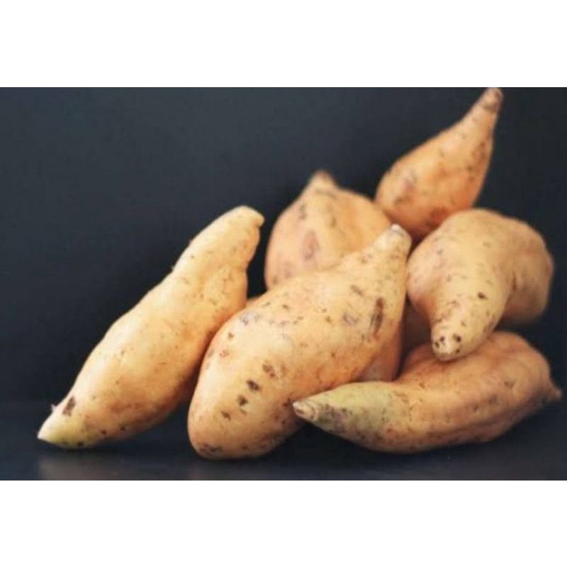 

ubi madu/ubi cilembu/ketela madu 1 kg