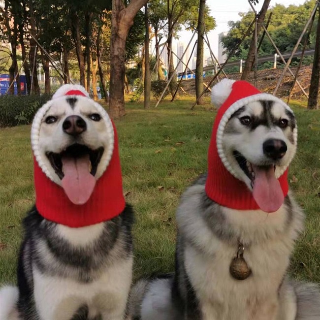 ★〓YUFeiPet〓★ Christmas Pet Hat Funny Christmas Hat Pet Ears and Neck Warmer Cover Photo Props Suitable for Cats and Dogs