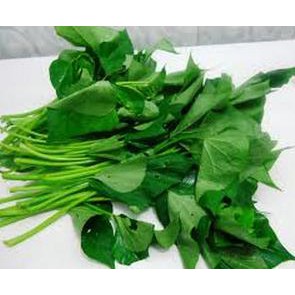 

Daun Ubi Segar Perikat