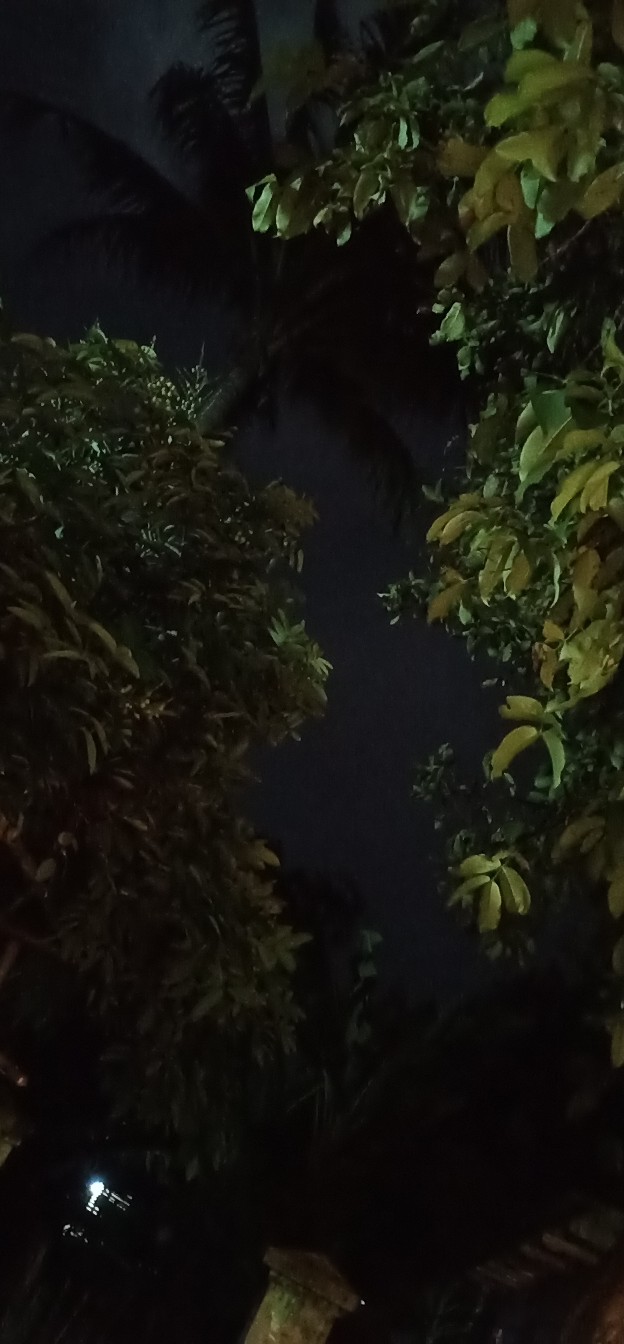 Batik Couple Notoarto Batik | Ipnu-ippnu  Kemeja Pria Sogan Lawasan Manuk Kembar